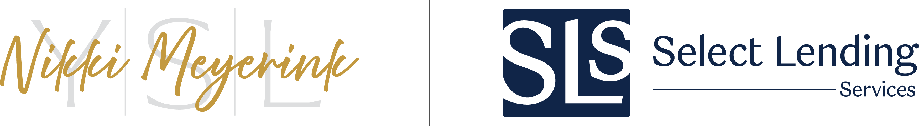 SLS logo