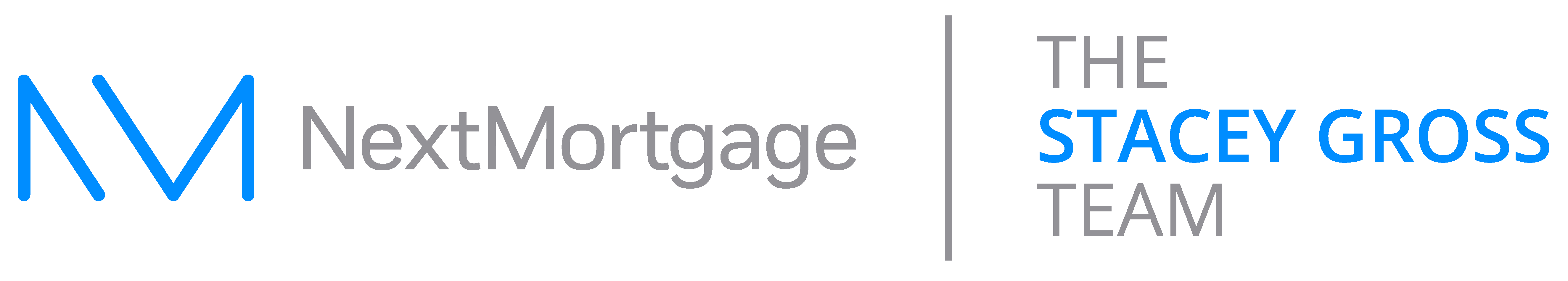 NM logo